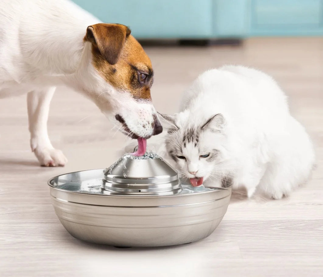 2LCat Water Fountain Automatic Drinker For Cats Water Feeder Pet Cat Dog Ultra-Quiet Automatic Fountains and Filter Cats Drinker